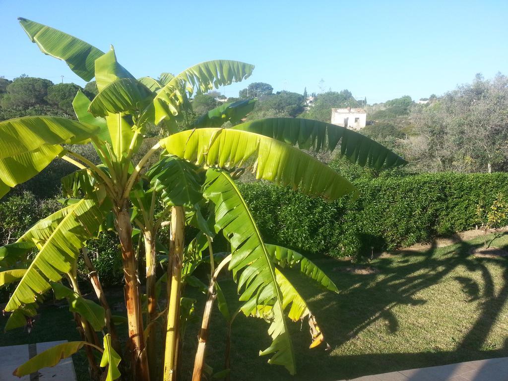 Casa Cereja 'Adults Only' Bed & Breakfast Albufeira Eksteriør bilde