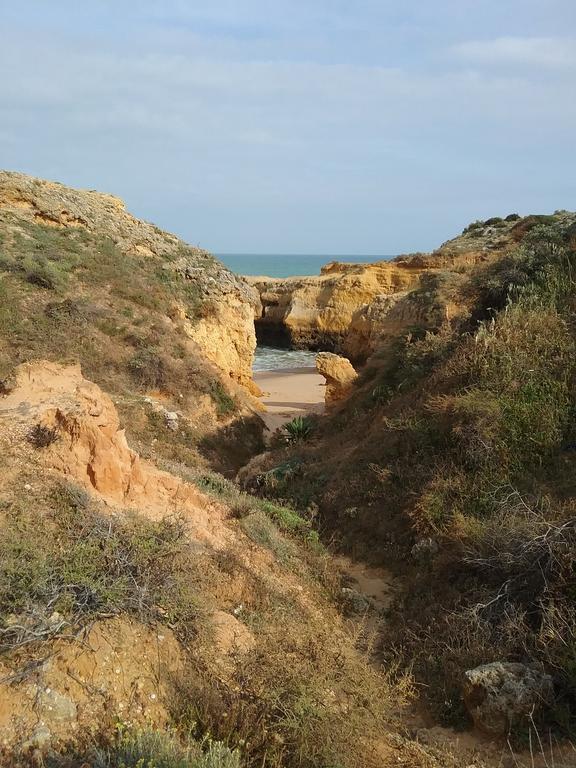 Casa Cereja 'Adults Only' Bed & Breakfast Albufeira Eksteriør bilde