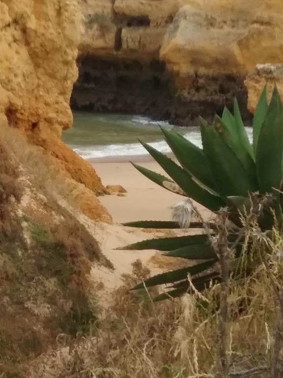 Casa Cereja 'Adults Only' Bed & Breakfast Albufeira Eksteriør bilde