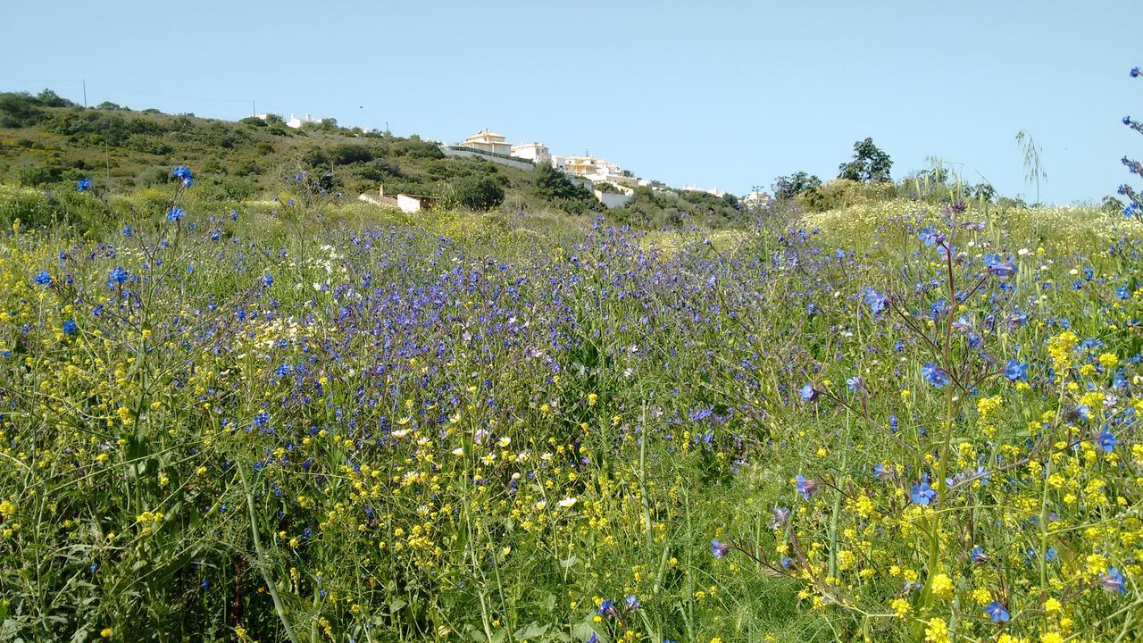 Casa Cereja 'Adults Only' Bed & Breakfast Albufeira Eksteriør bilde