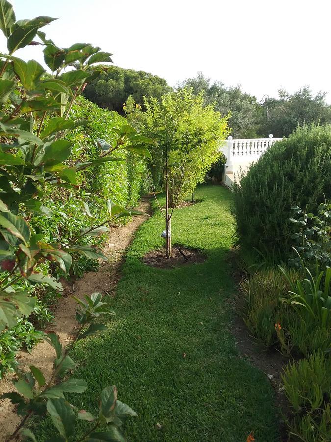 Casa Cereja 'Adults Only' Bed & Breakfast Albufeira Eksteriør bilde