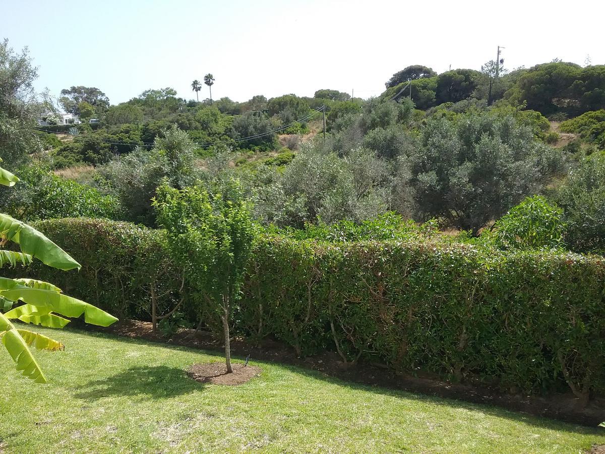 Casa Cereja 'Adults Only' Bed & Breakfast Albufeira Eksteriør bilde