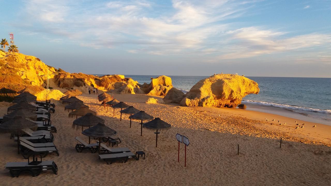 Casa Cereja 'Adults Only' Bed & Breakfast Albufeira Eksteriør bilde